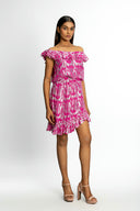 Zari Ruffled Mini Dress